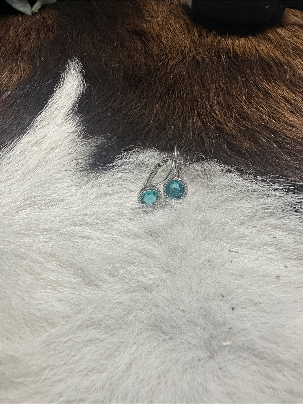 Touchstone Crystal Teal Drop Earrings with Silver-Tone Setting